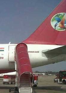 The Downfall of Kingfisher Airlines
